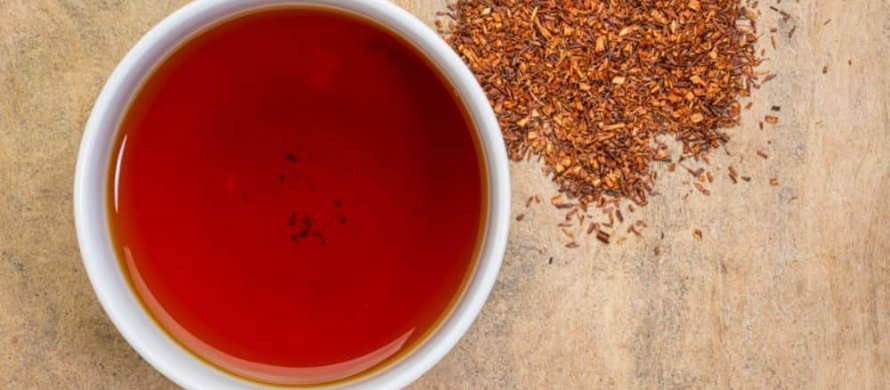 آیا چای رویبوس برای همه بی خطر است؟